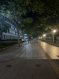 昨日の大阪市役所付近の夜の風景❣️❣️